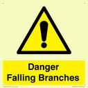 danger-falling-branches~